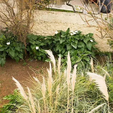 Tatiana's Garden House * Chania (Crete)